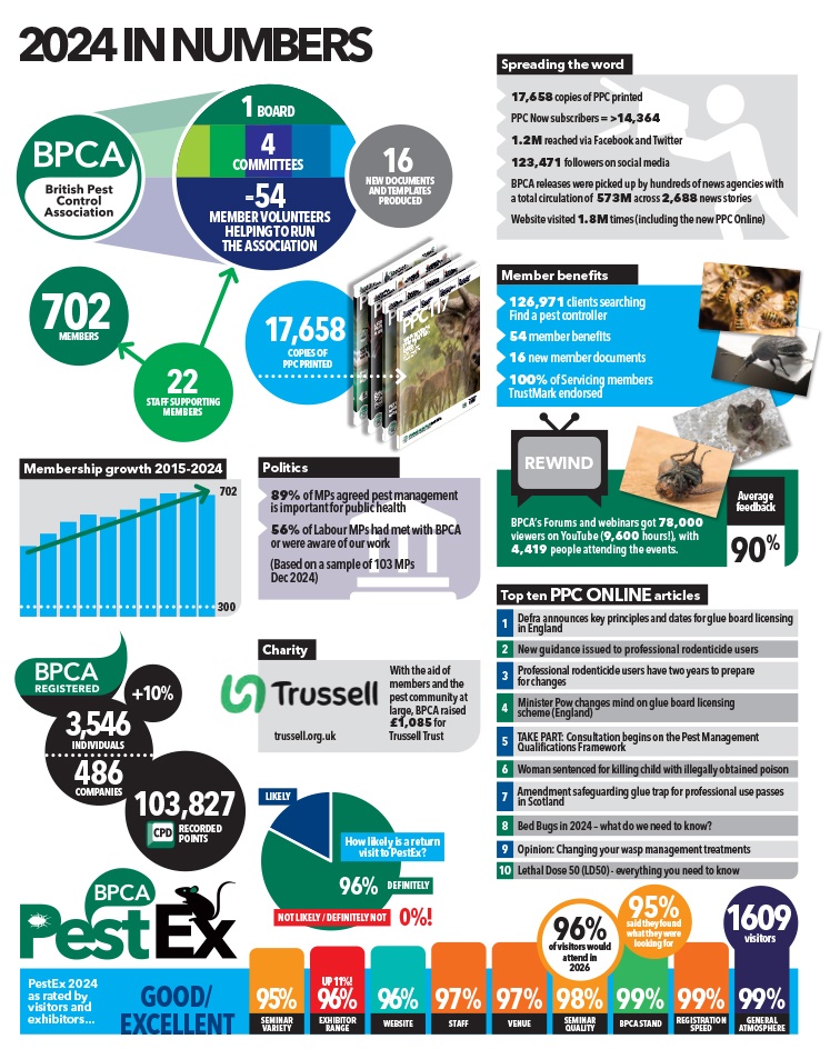 2024 in numbers2